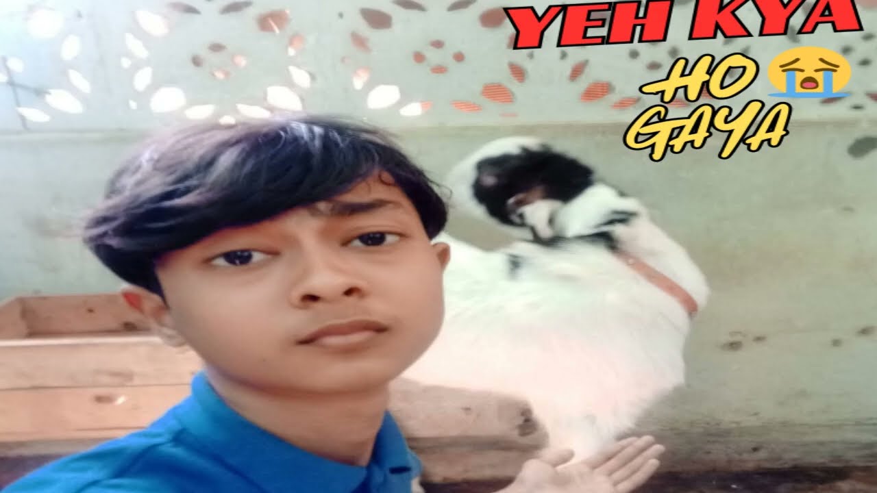 Yeh Kya Ho Gaya😰