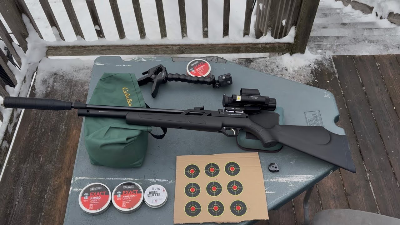 Pinty Vanguard .22 и DNT Zulus HD V2 5-20: первый взгляд.