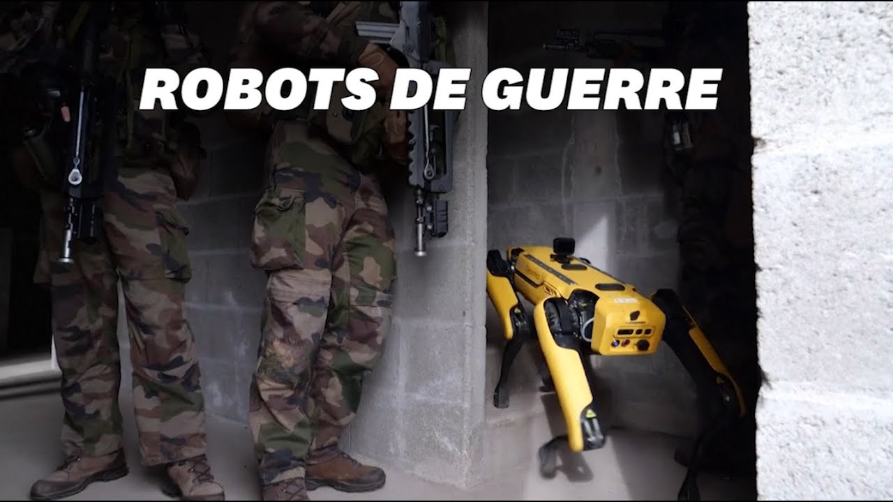 L'arm&eacute;e fran&ccedil;aise teste le chien robot 