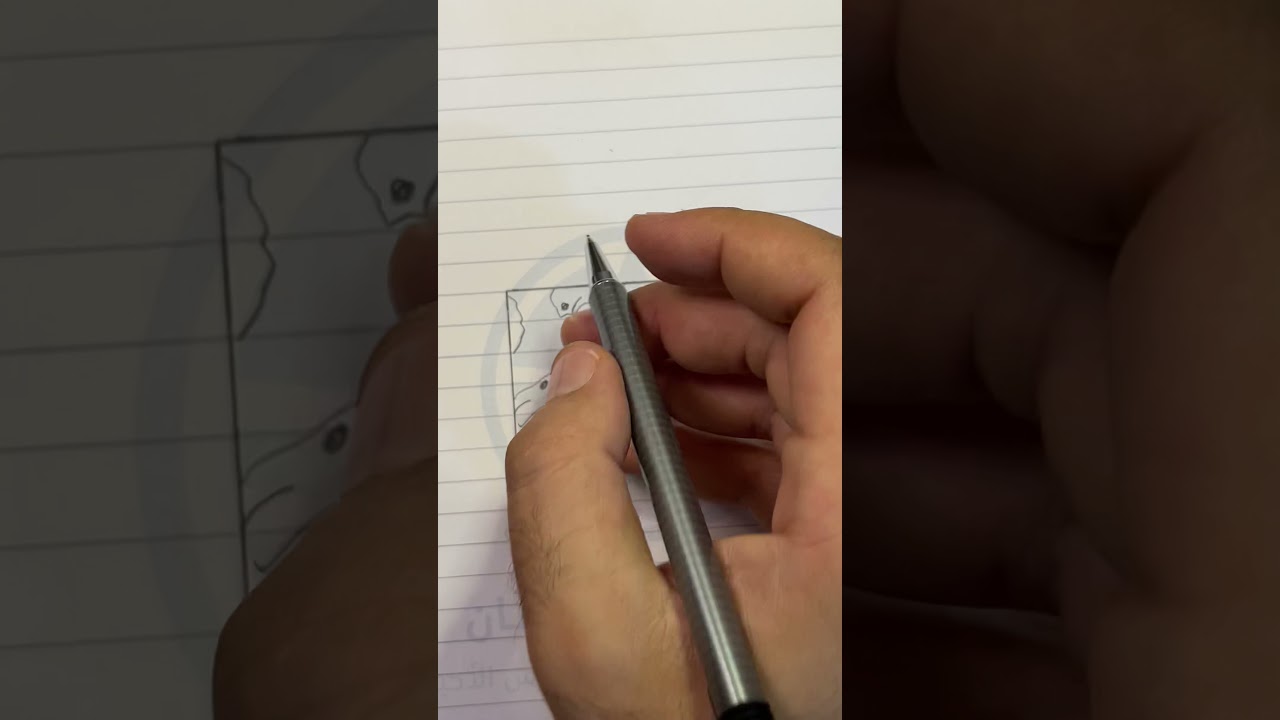 رسم النسيج الضام الشبكي
