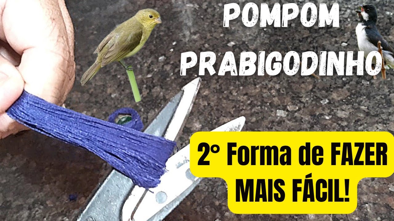 🧶POMPOM PRO BIGODINO TREINAR | O JEITO MAIS FÁCIL DE FAZER
