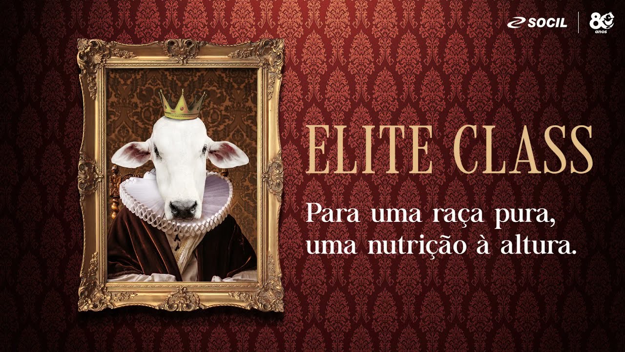 Linha Elite Class Socil -  G&ecirc;nese