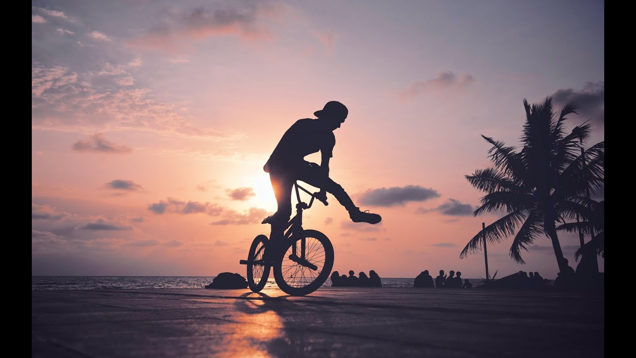 BMX - Freestyle Edition 2014/2015 (3)