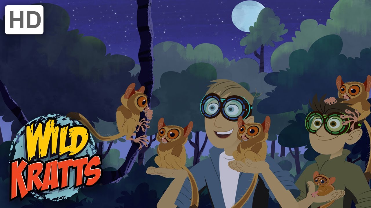 Wild Kratts | Googly Eye: The Night Guru | Full Episode | Season 1