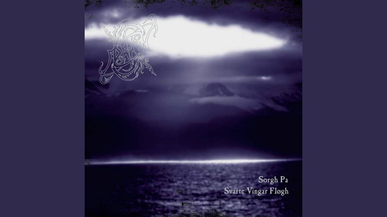 Sorrow Flew On Black Wings