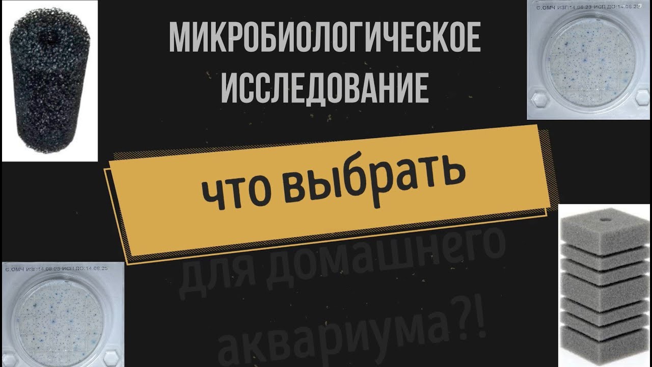 Мелкопористая или крупнопористая губка для фильтра. Что выбрать?!!