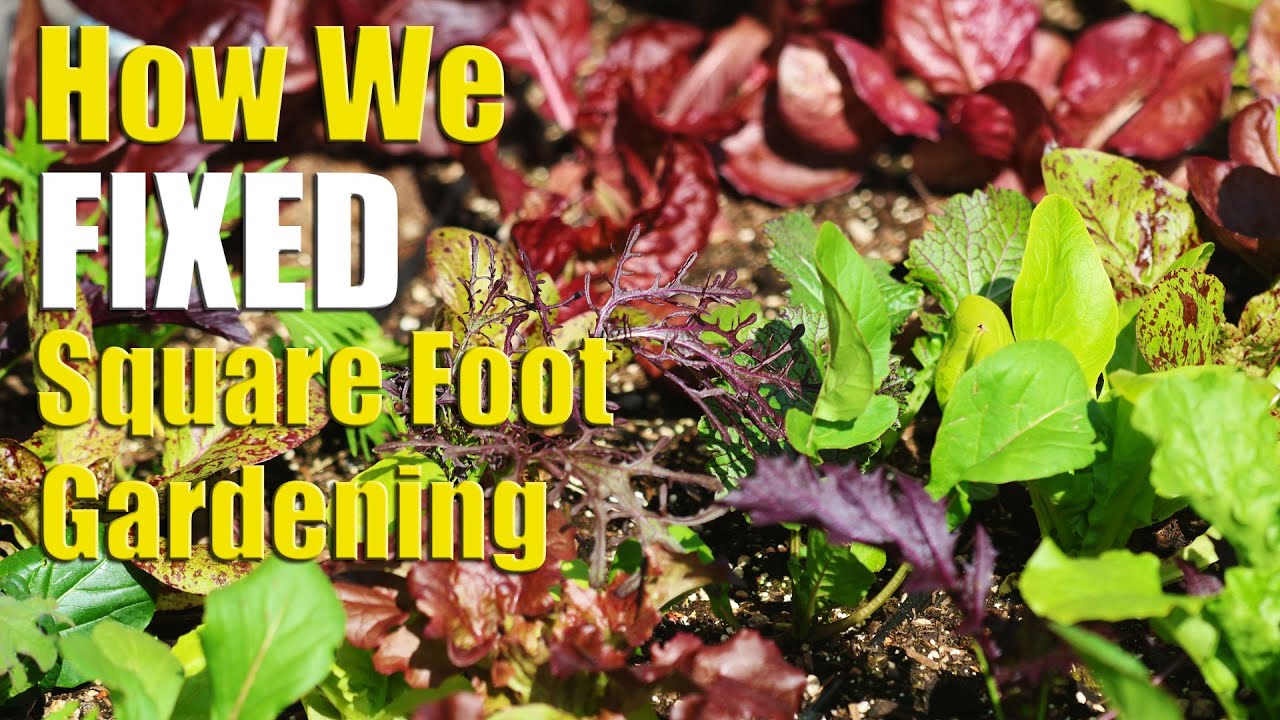 How We Fixed Square Foot Gardening And Grow More Food, Intensively!