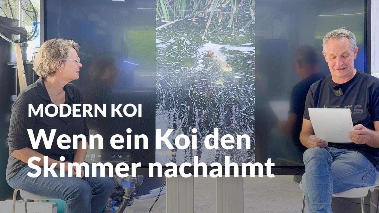 Wenn Koi wirklich komisches Verhalten zeigen | Modern Koi Blog #7802