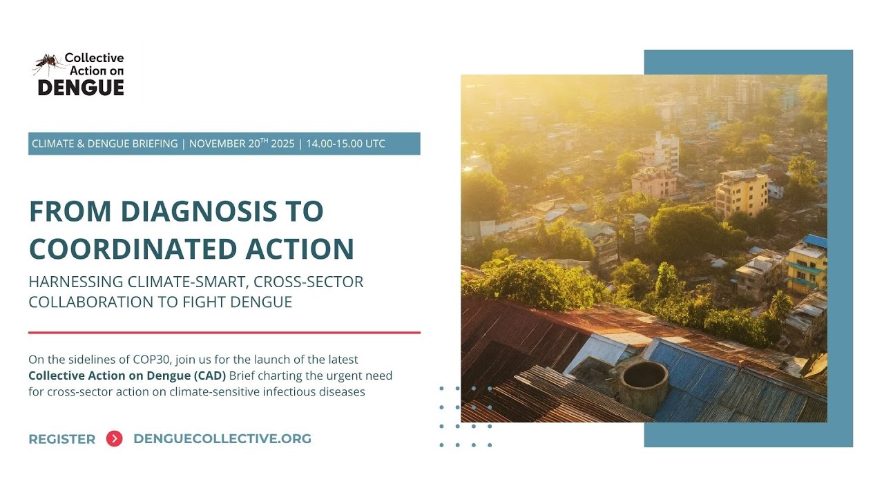 Climate & Dengue briefing From diagnosis to coordinated action