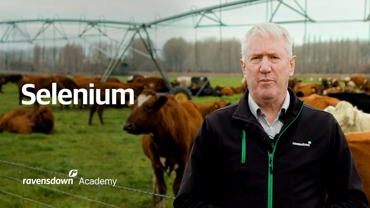 Selenium in NZ Farming: Soil Deficiency and Animal Health