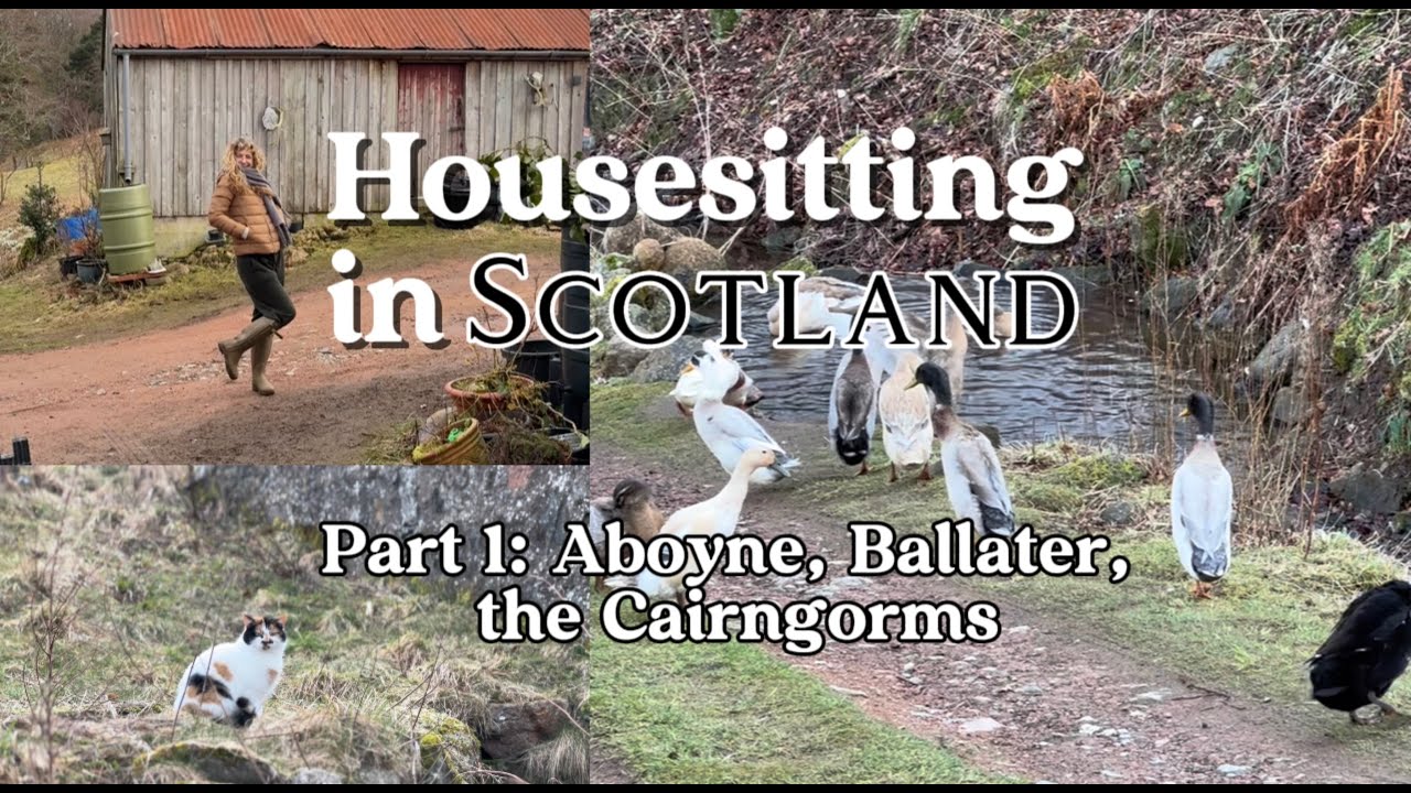 Housesitting in Scotland P 1: Aboyne, Dunblane, Ballater, Braemar, Cairngorms: Trusted Housesitters