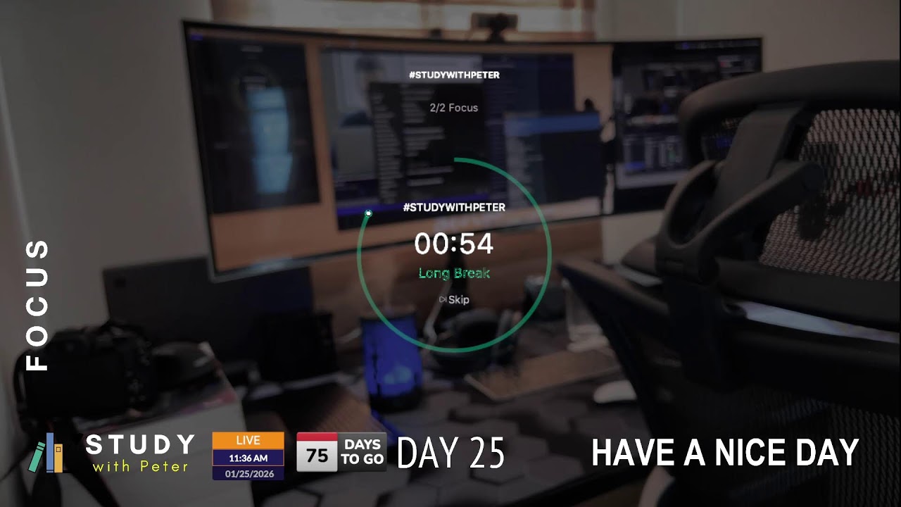 DAY 25 | Study With Me Live – #100DAYSOFLEARNING | Study With Peter