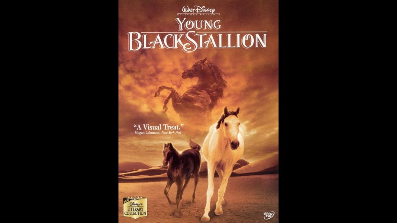 Young Black Stallion 2004 DVD Overview