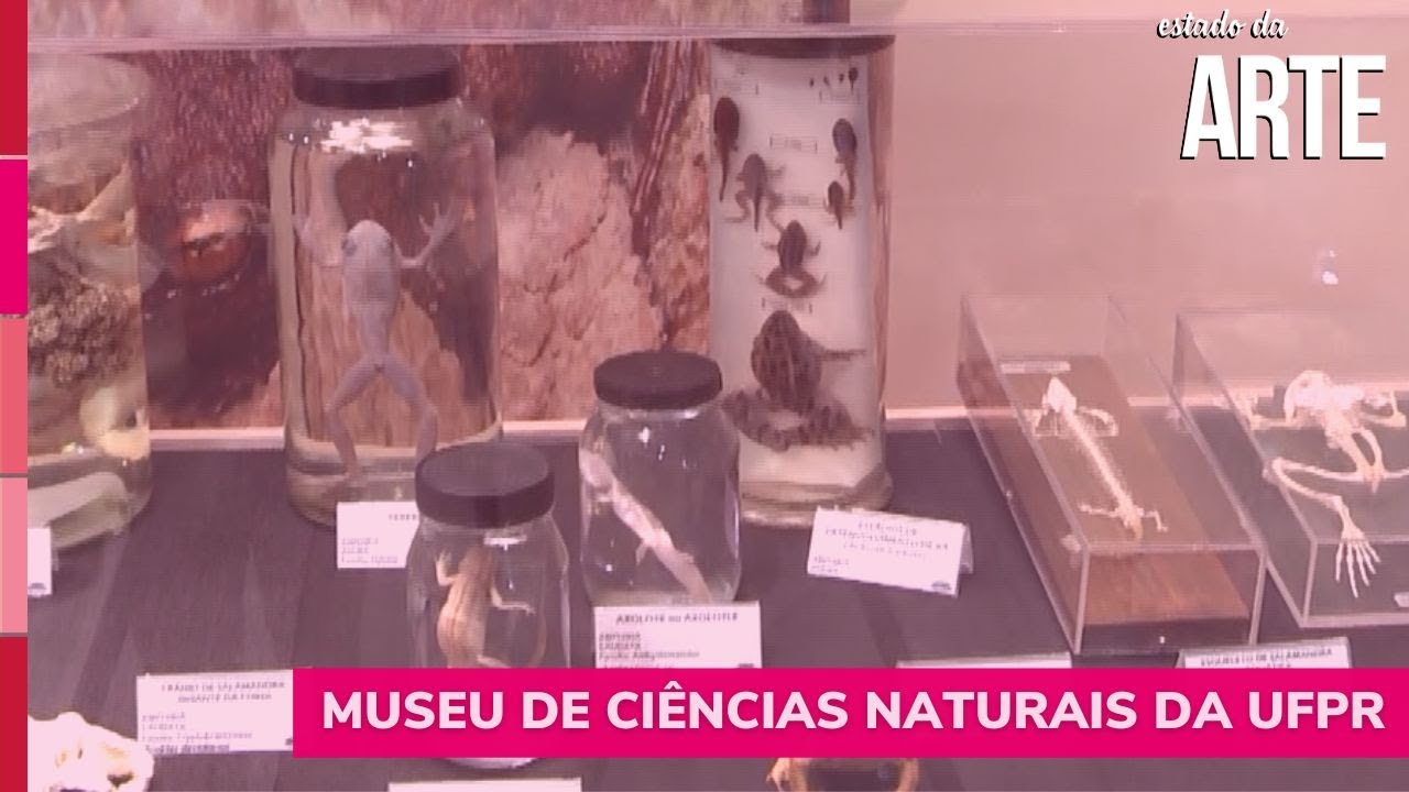 Museu de Ciências Naturais da UFPR [Estado da Arte]