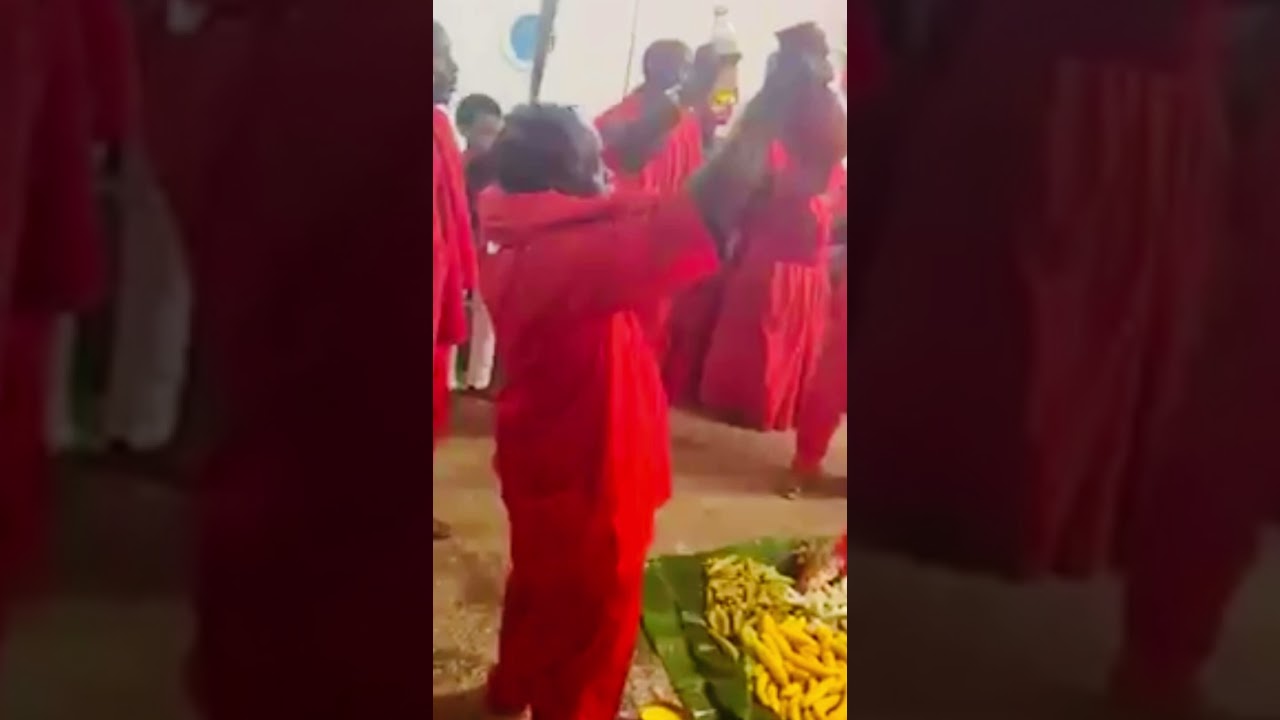 Iba Orisha Vigoyanna the powerful force the one that hold the secret to farming