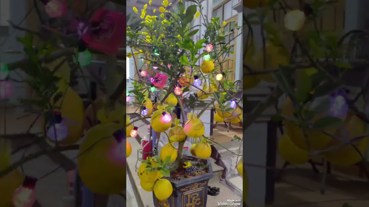 Thêm Đông chúc mừng năm mới!