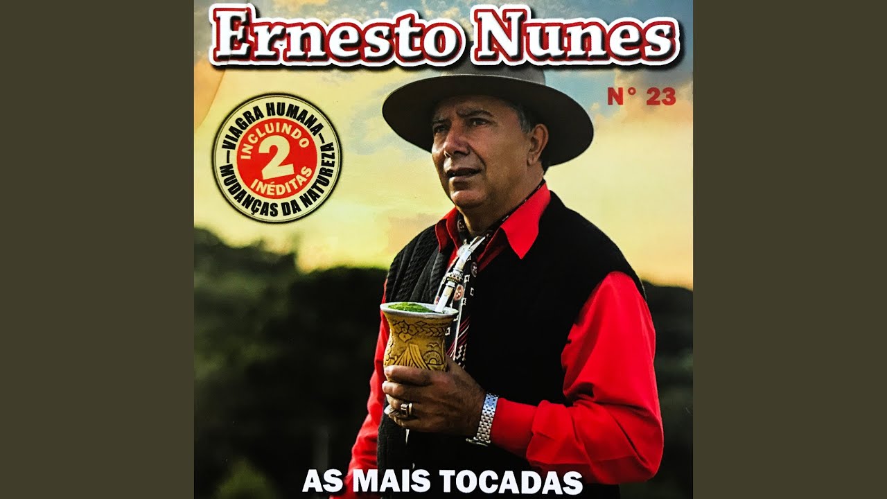 Por Causa da Gringa