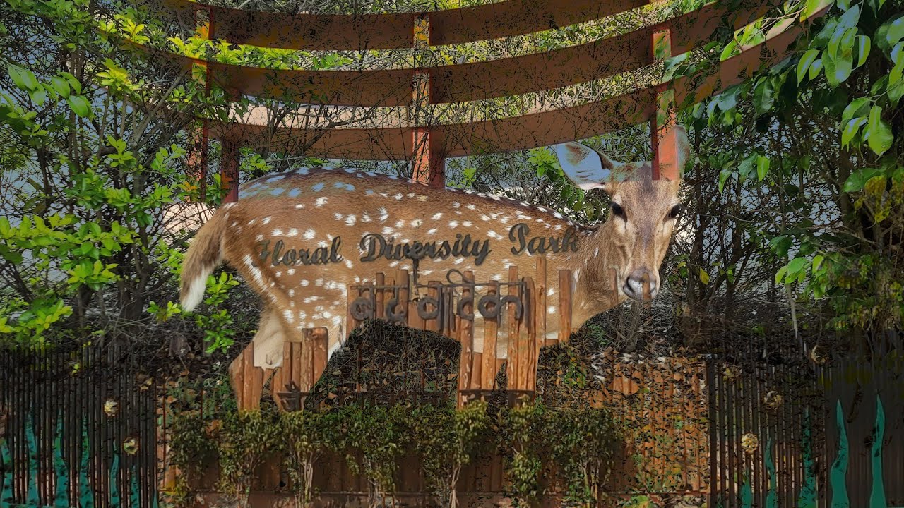 जैव विविधता उद्यान || Floral Diversity Park Dobhi In Detail 