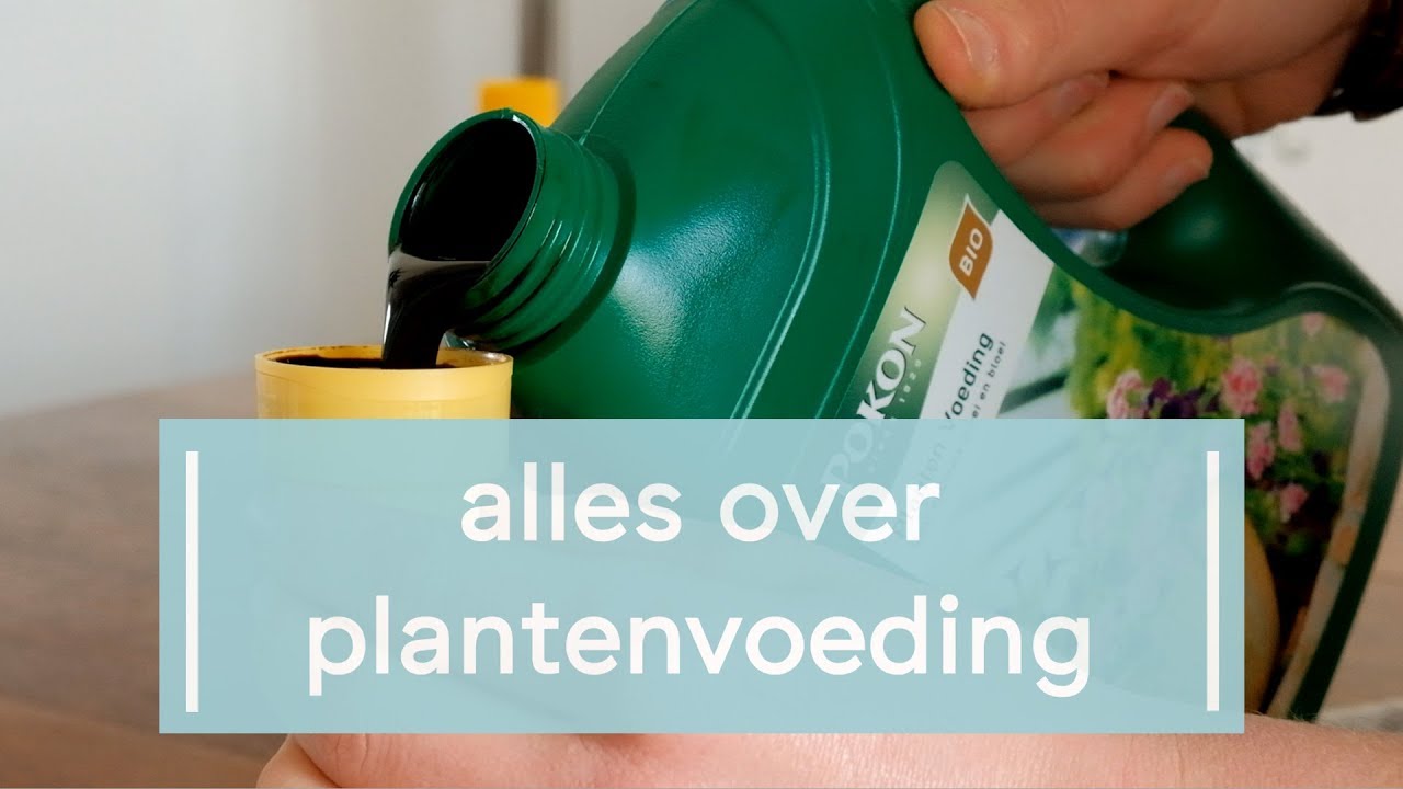 Alles over plantenvoeding