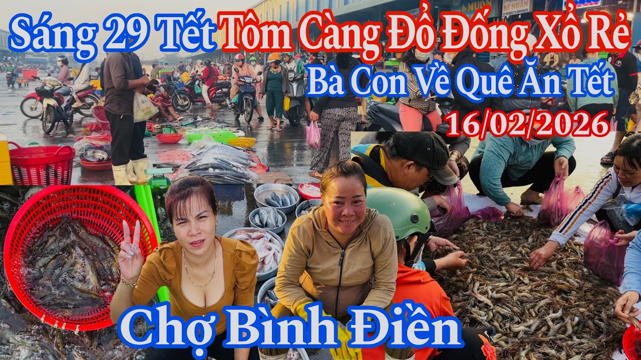Sáng 29 Tết Tôm Càng Đổ Đống Xổ Rẻ Bất Ngờ - 16/02/2026 | Chợ Bình Điền 