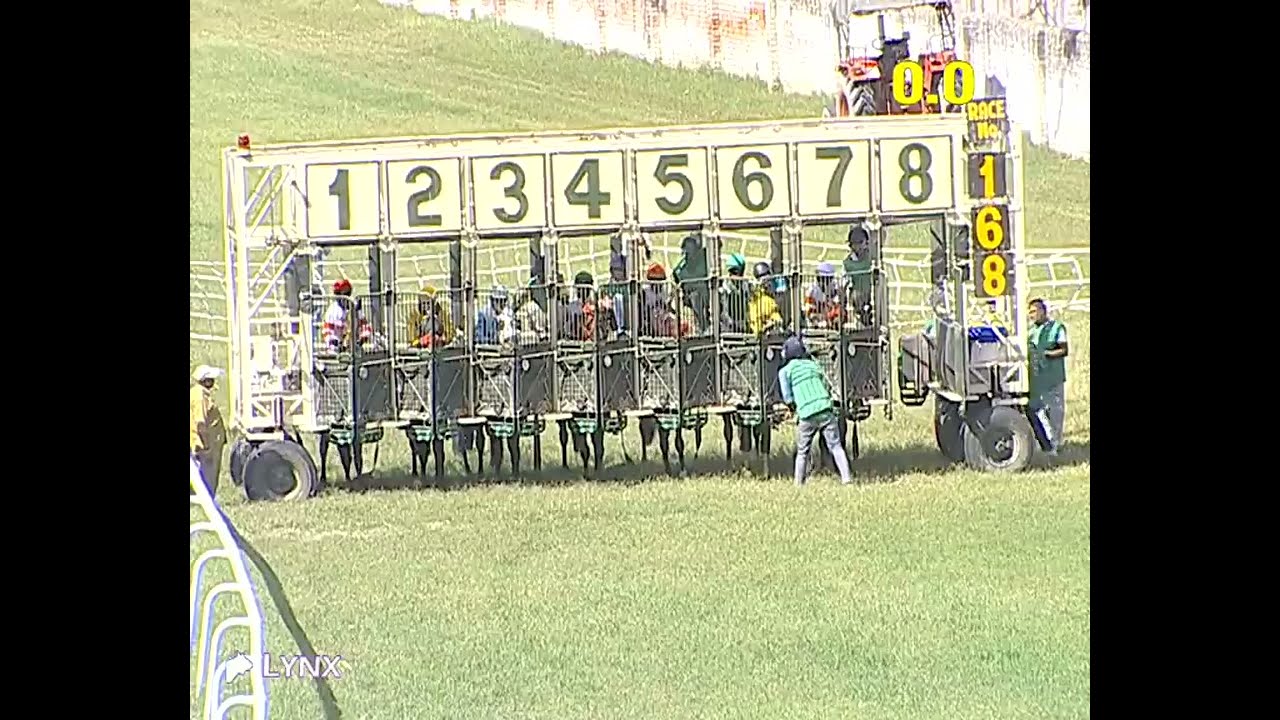 Delhi Race No 2 The Vijay Sprint Plate / Win - ELIMINATOR/ Jockey - Lave Kumar/ #video 2026