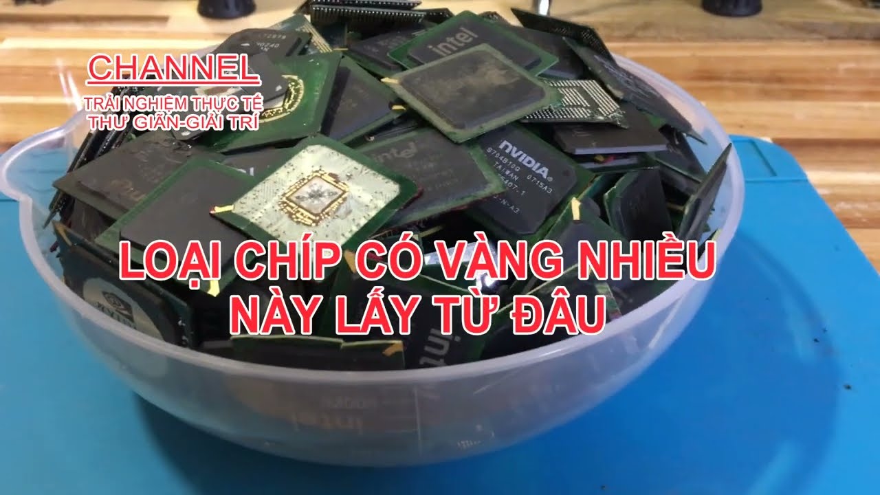 LOẠI CHÍP CÓ NHIỀU VÀNG NÀY LẤY TỪ ĐÂU