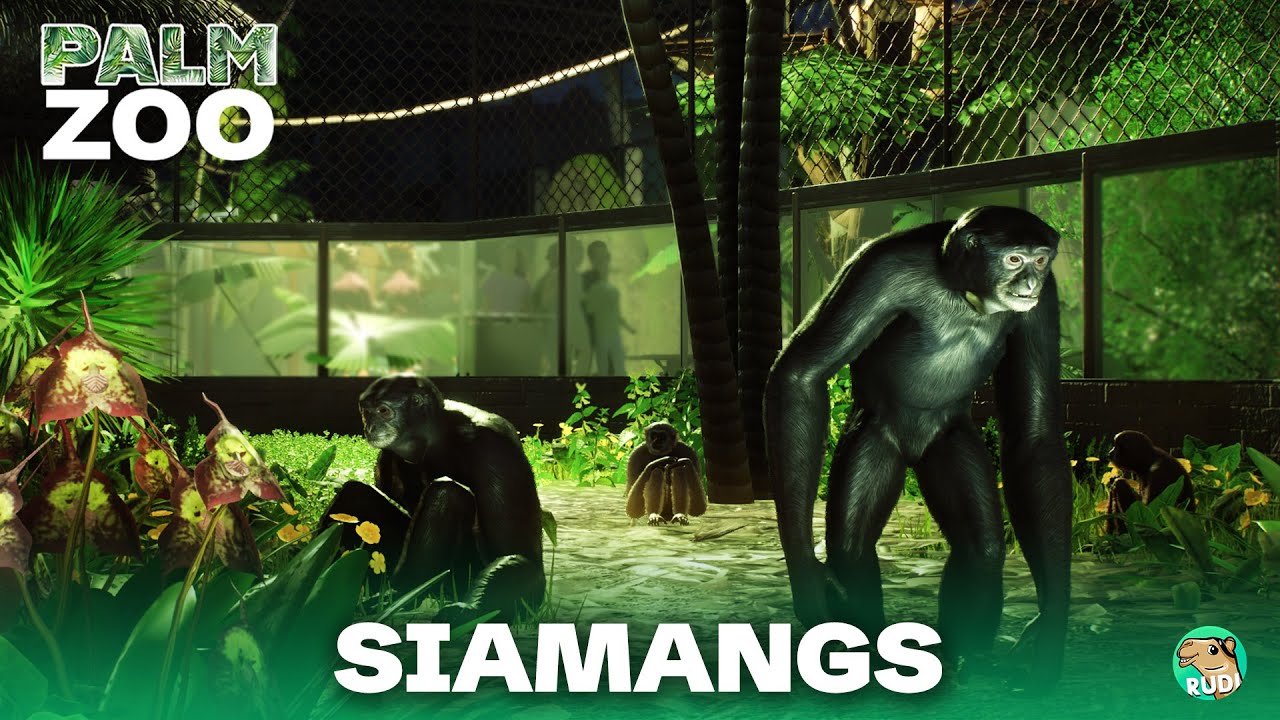 Siamang Habitat | THE PALM: ZOO 06 - Tropical House Speedbuild