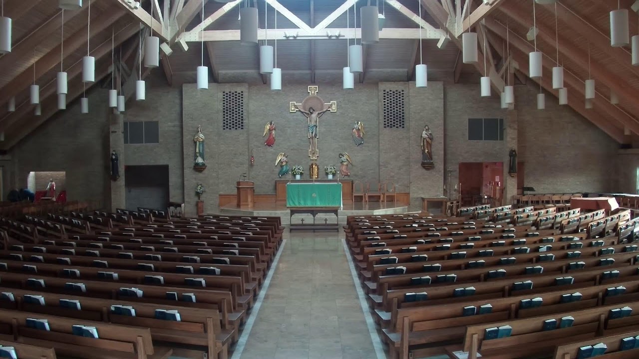 8:00am Mass from Holy Cross Catholic Church (February 9, 2026)