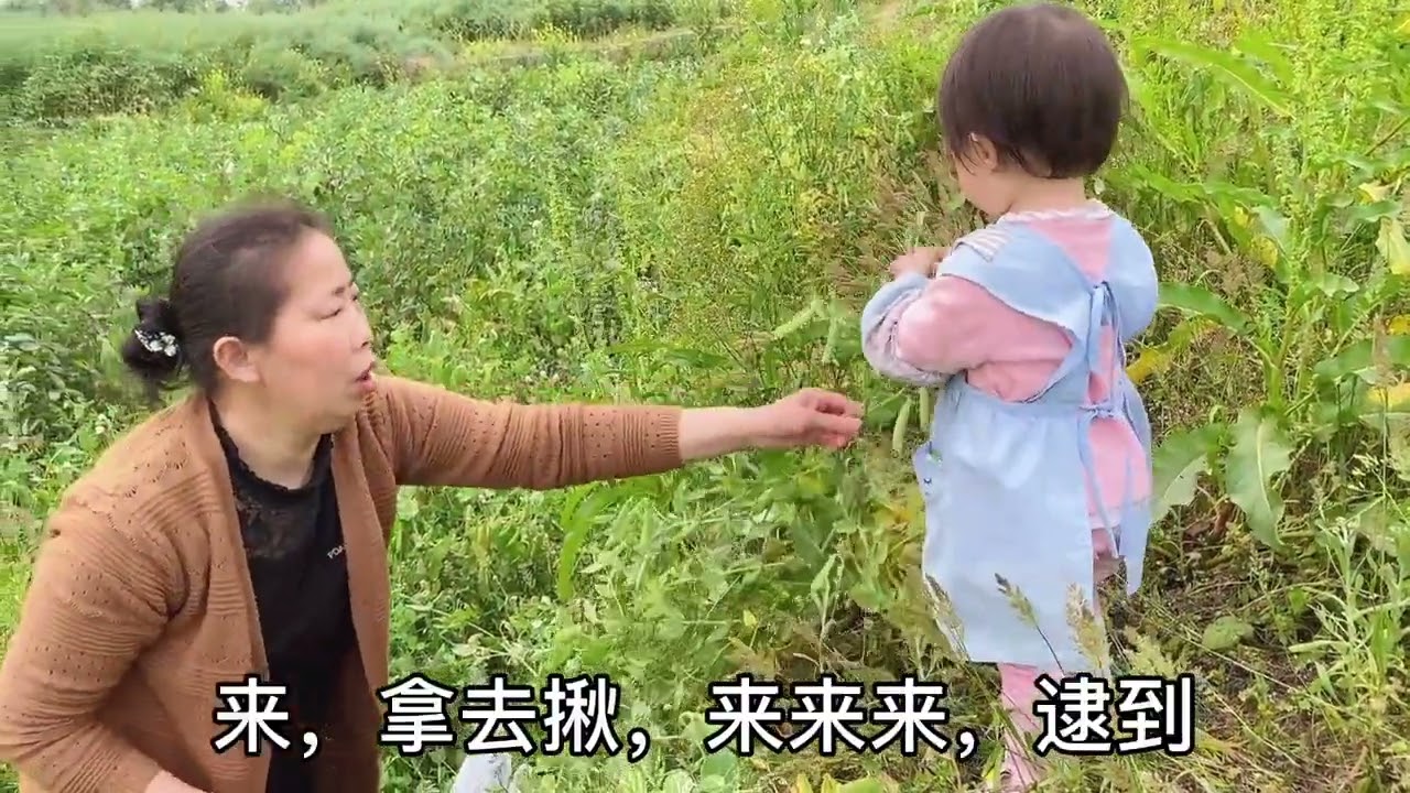 农村季节蔬菜嫩豌豆，带嘉曦体验摘菜的快乐，外婆直呼她要退休了#农村蔬菜 #豌豆 #萌娃日常