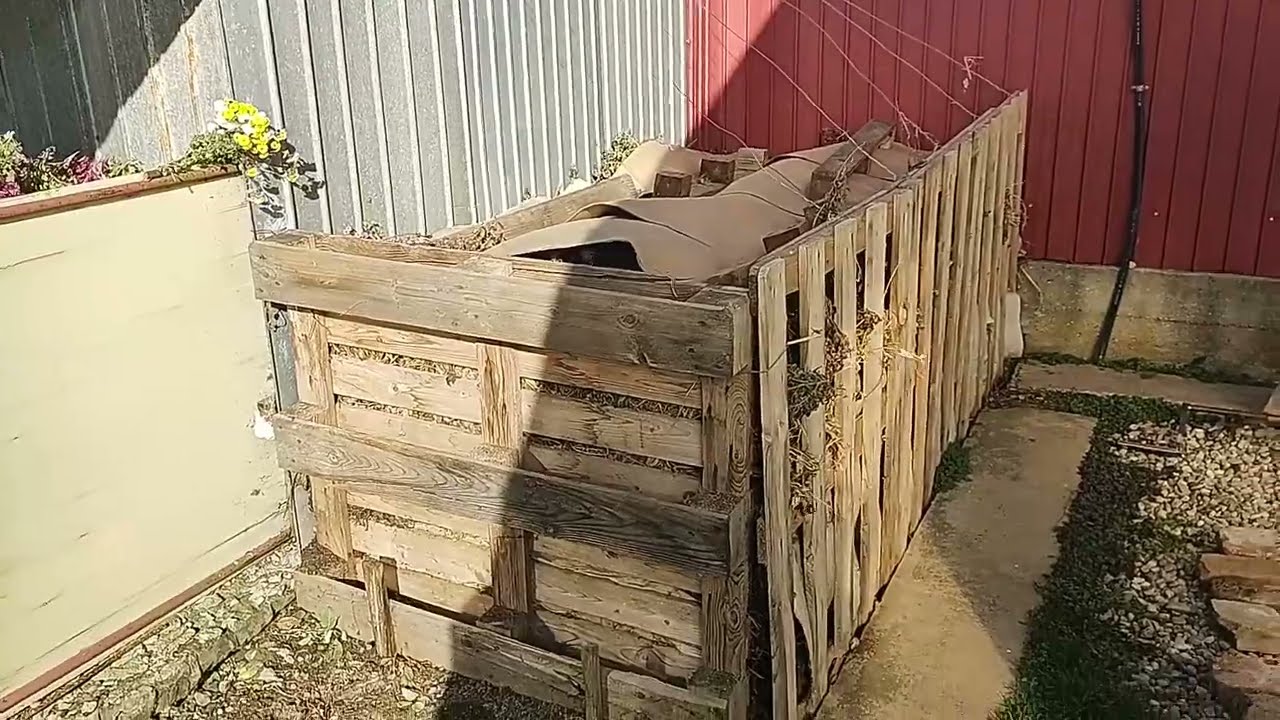 Primul meu compost. O MARE SURPRIZA!!!