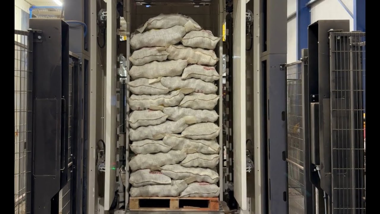 Potatoes 25KG bags palletizing