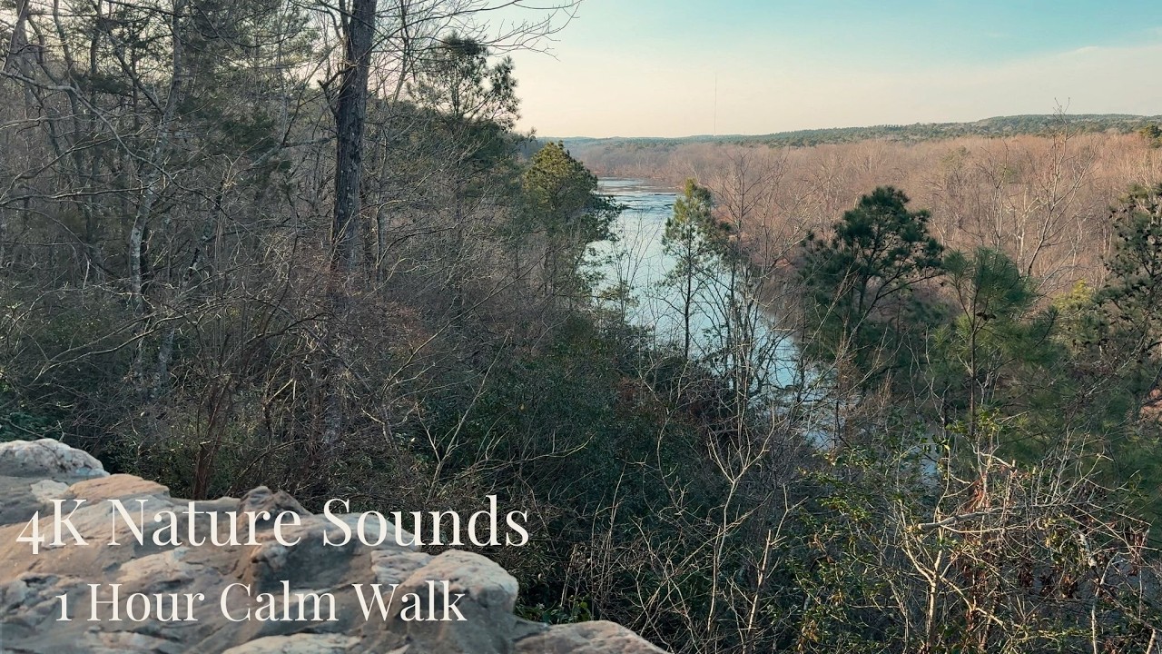 1 Hour Calm Forest Walk  4K Nature Sounds – Raven Rock Loop Trail