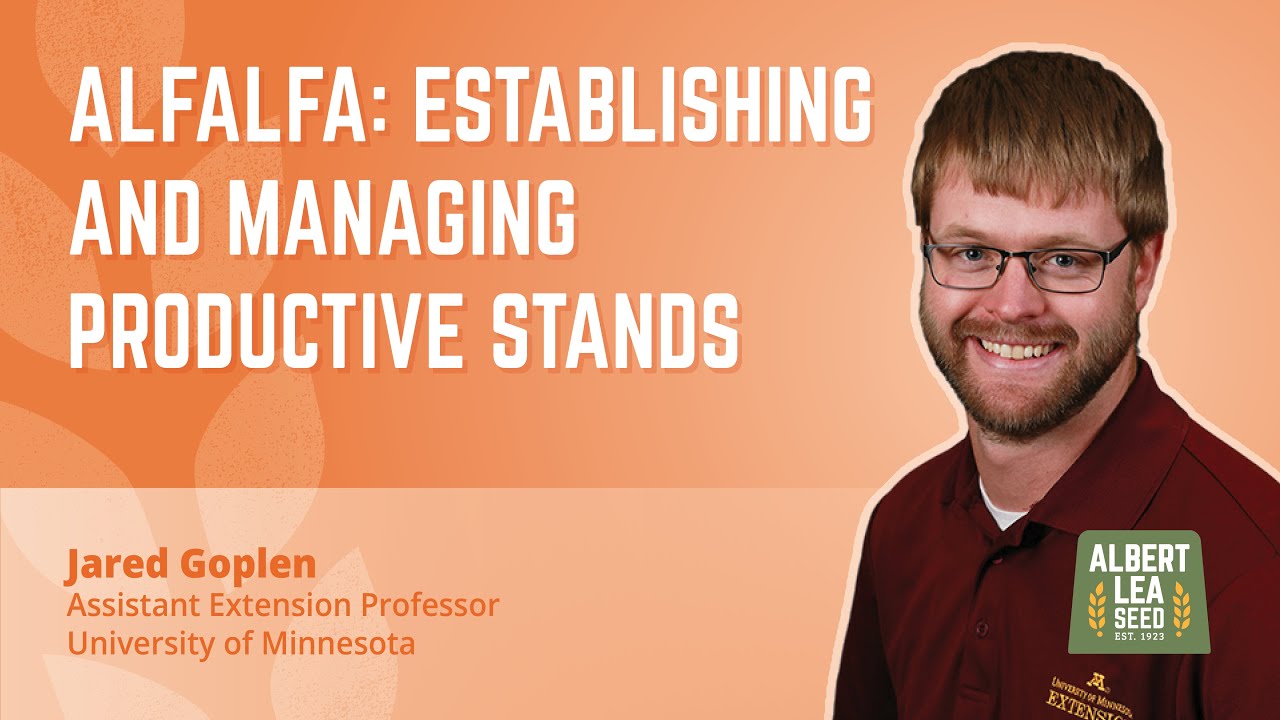 Alfalfa: Establishing and Managing Productive Stands
