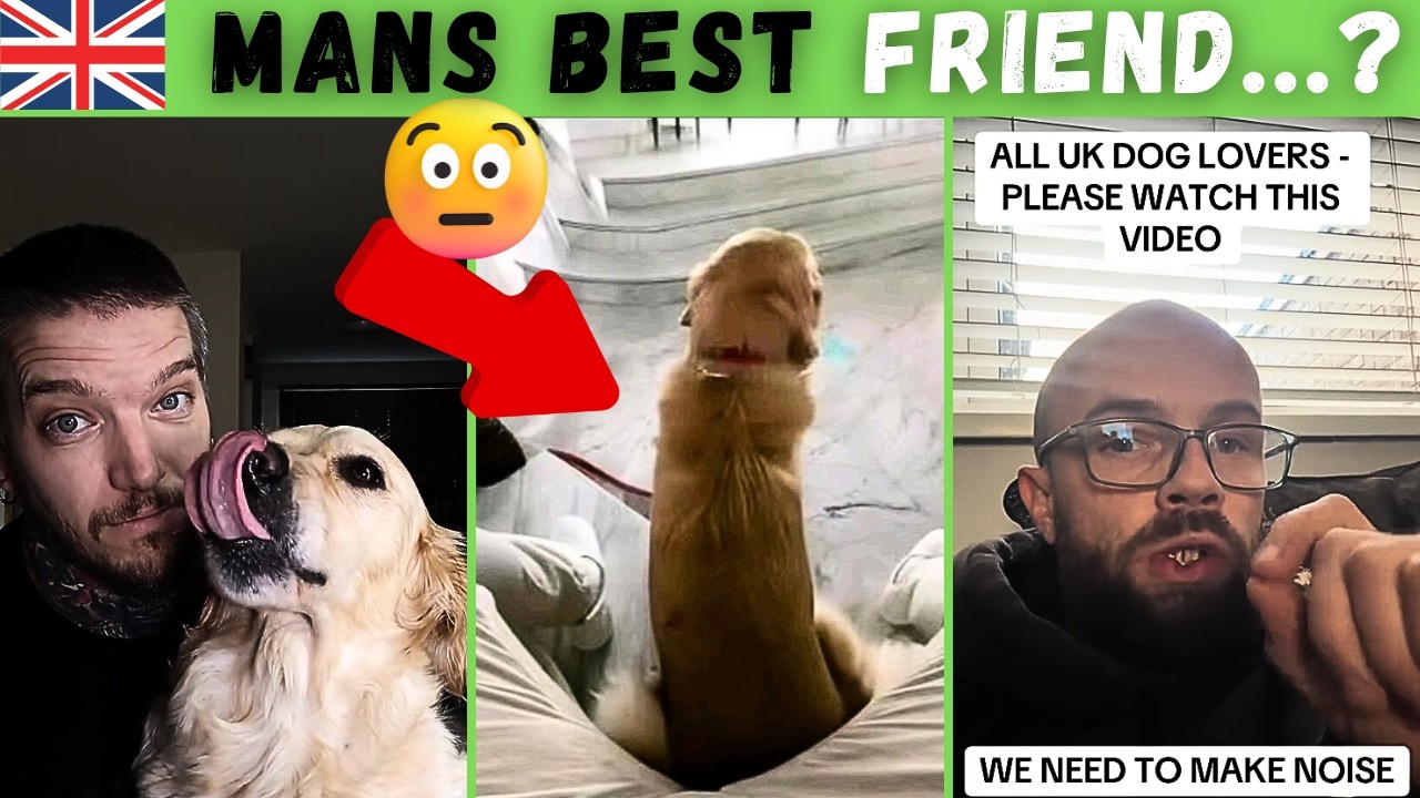 Owning a Dog in the UK Is INSANE 🐶💷 The Real Cost