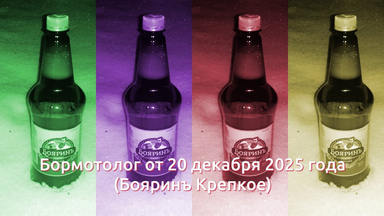 Бормотолог от 20 декабря 2025 г. (Бояринъ Крепкое)