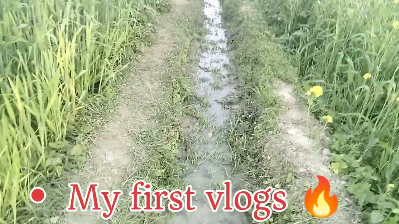 My first vlogs and my desi vlogs 🔥💯