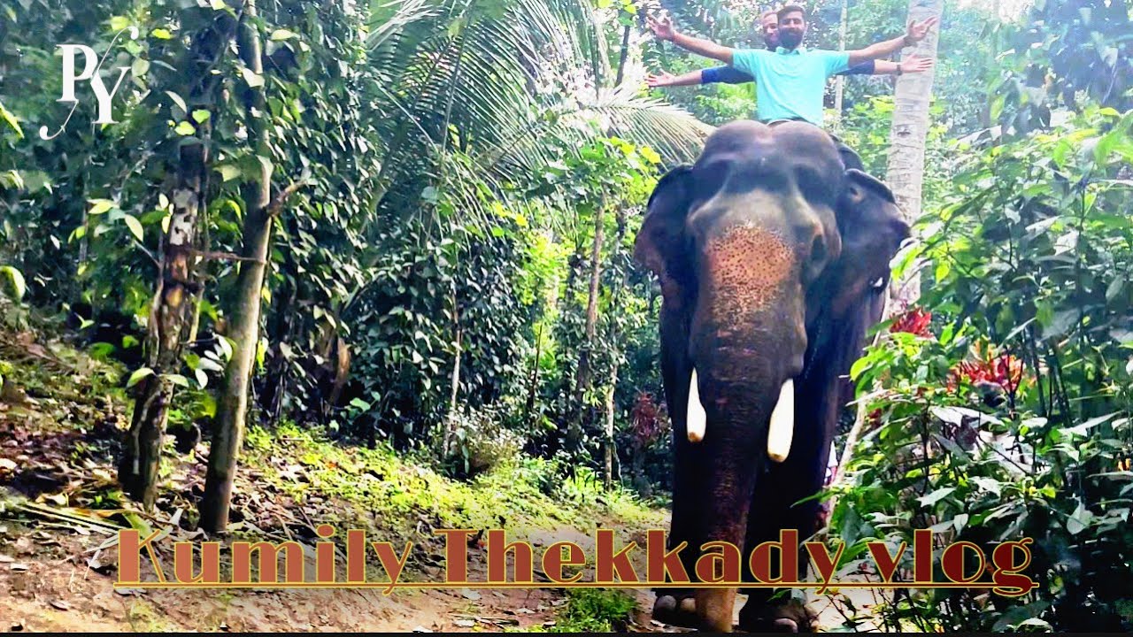 Kumily thekkady vlog | thekkady Kerala vlog | thekkady elephant camp | Kathakali kalaripayattu show