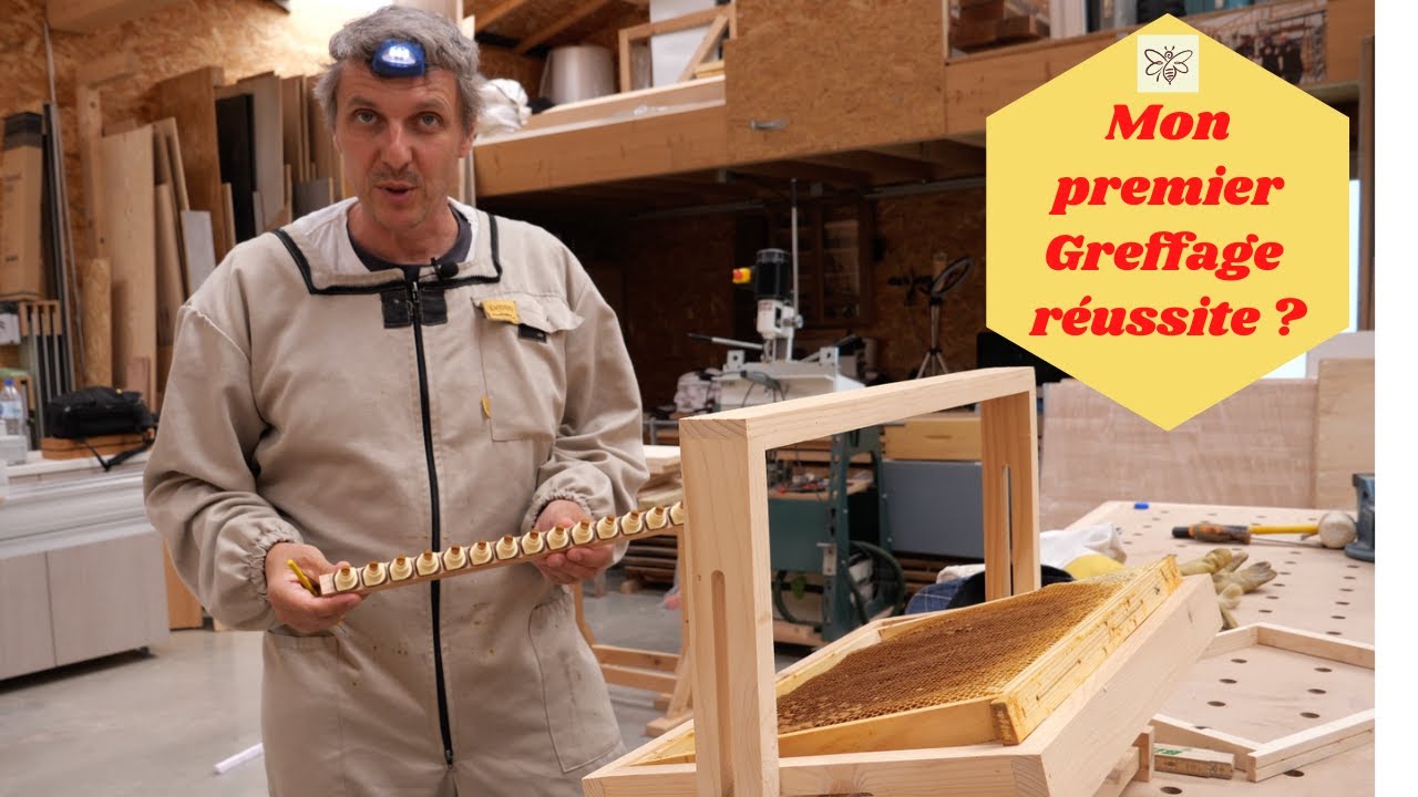 premier greffage test.