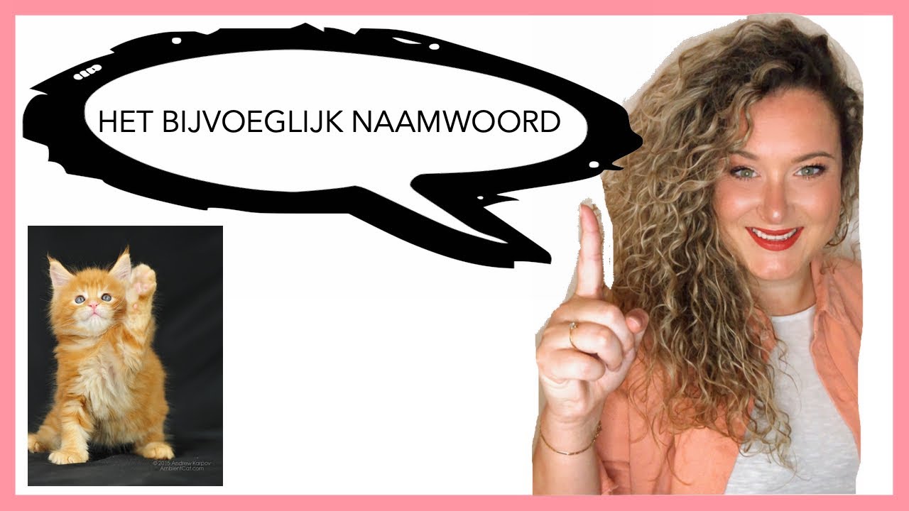 HET BIJVOEGLIJK NAAMWOORD (uitleg en oefeningen)