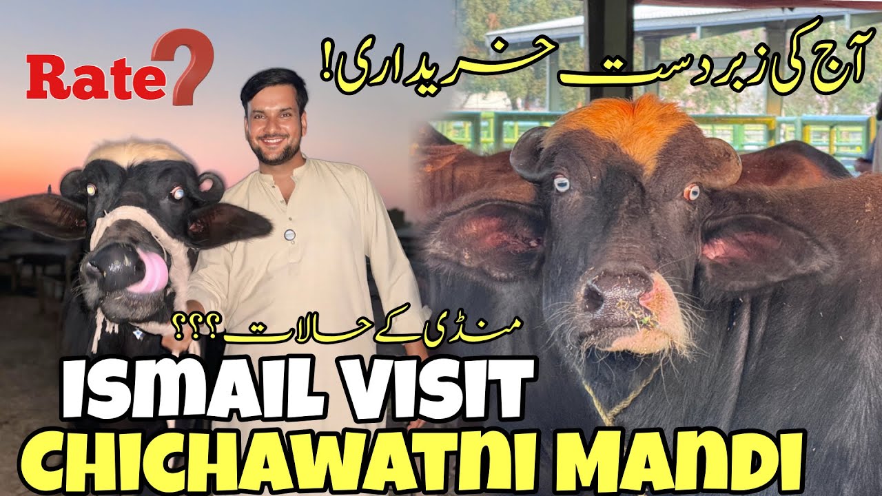 Today Ismail jutt visit Chichawatni Mandi