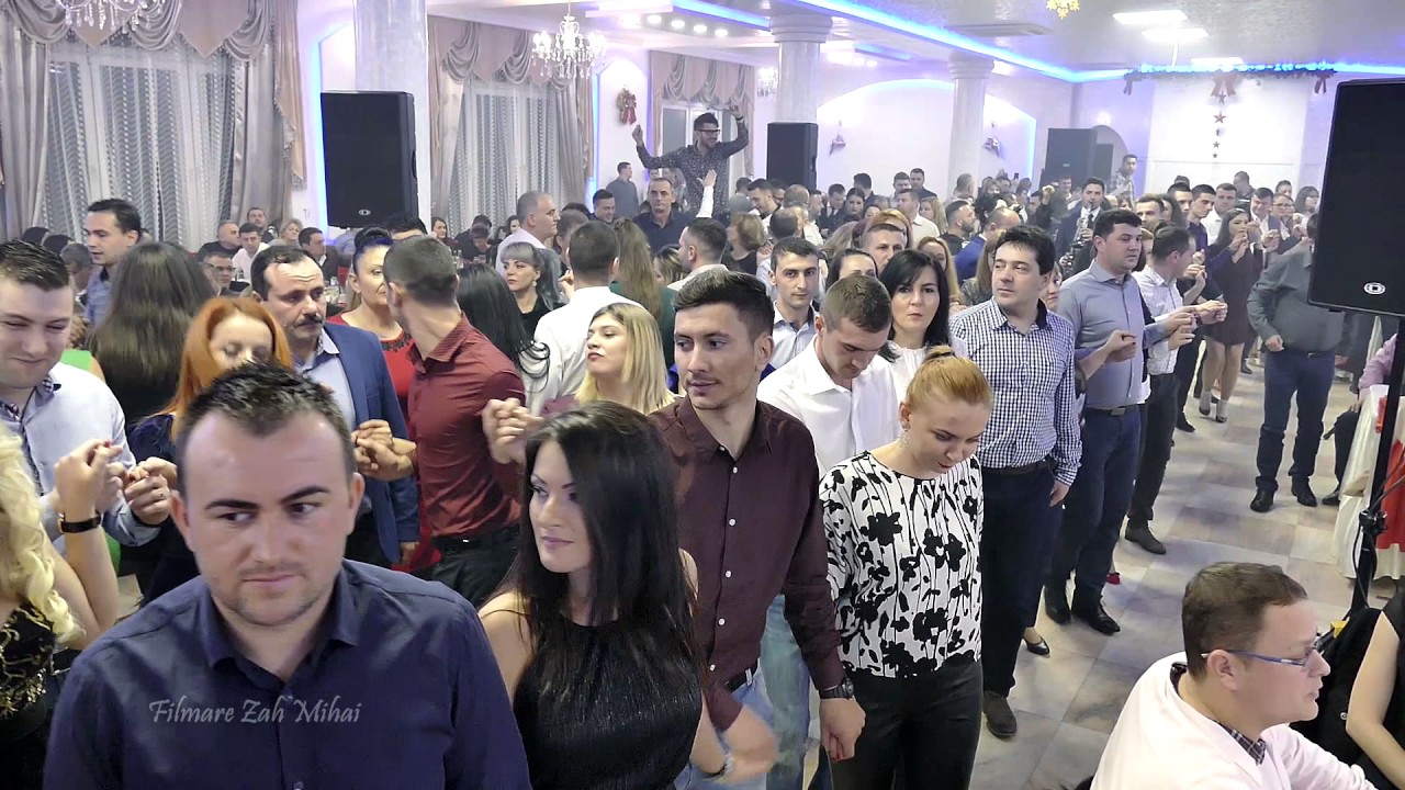 Olguța Berbec, Remus Novac si Borko Radivojevici-Tigrovi LIVE