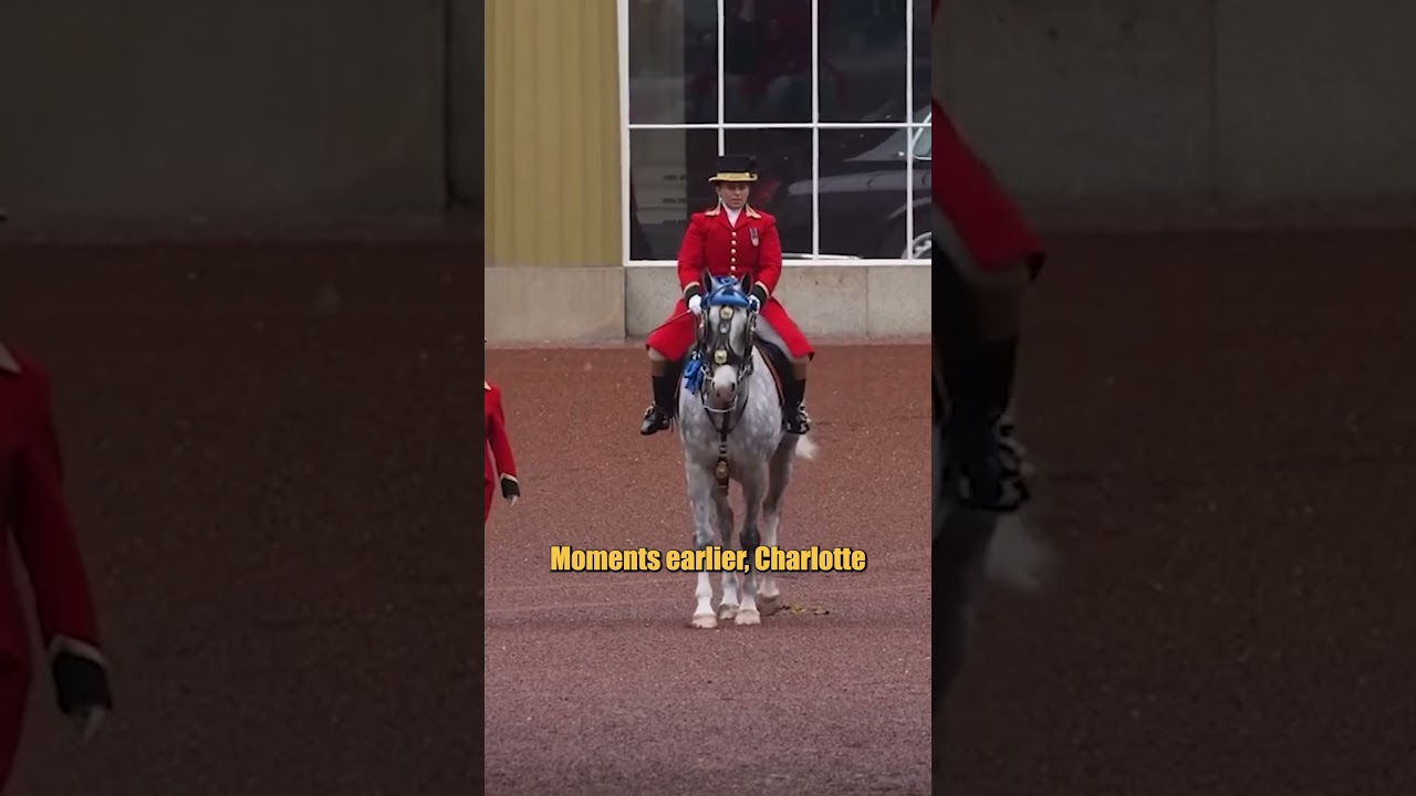Prince Harry Testimony Collapsed After Spare Revealed Courtroom Contradiction