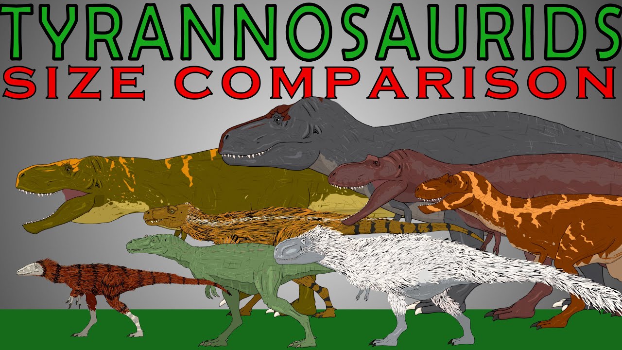 Dinosaurs Size Comparison: Tyrannosaurids (T-rex, Albertosaurus, Gorgosaurus, Daspletosaurus)