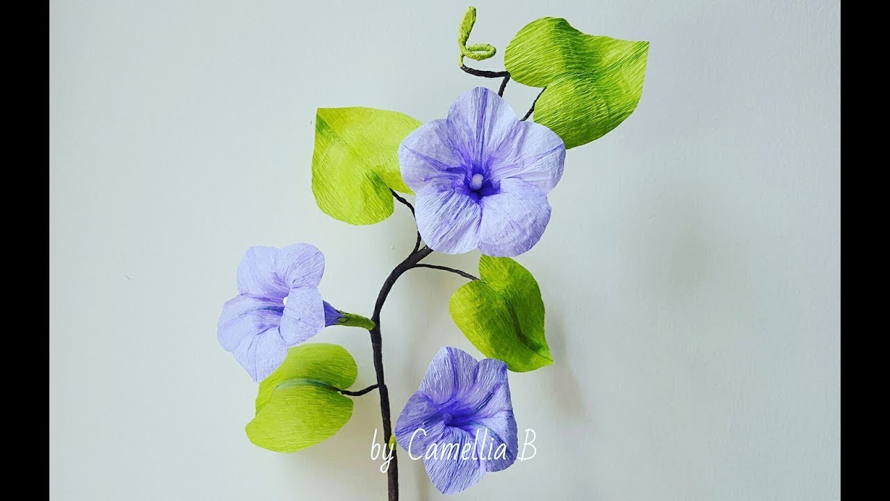 Crepe paper flower, How to make Paper Morning Glory Ipomoea Flowers from crepe paper