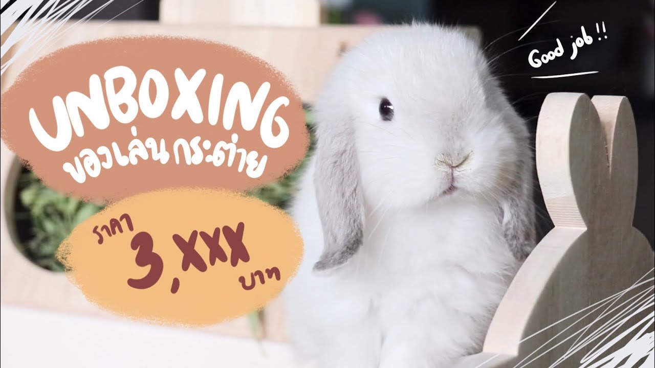 EP.8 Unboxing ทาสกระต่ายเปย์เจ้านายด้วยห้องน้ำสุดหรู 3,xxx บาท #BunnyTTcoupe | Joyjee Loveberry