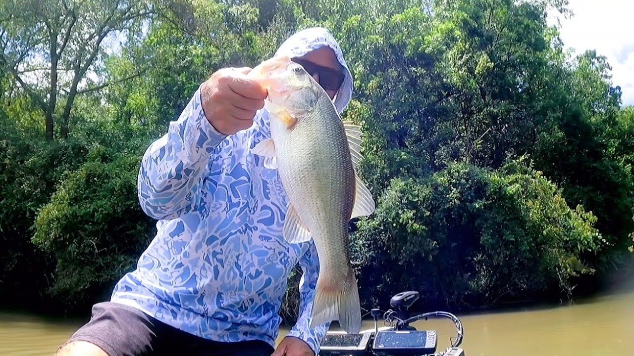 Catching bass at Logan Martin lake mid August 2025