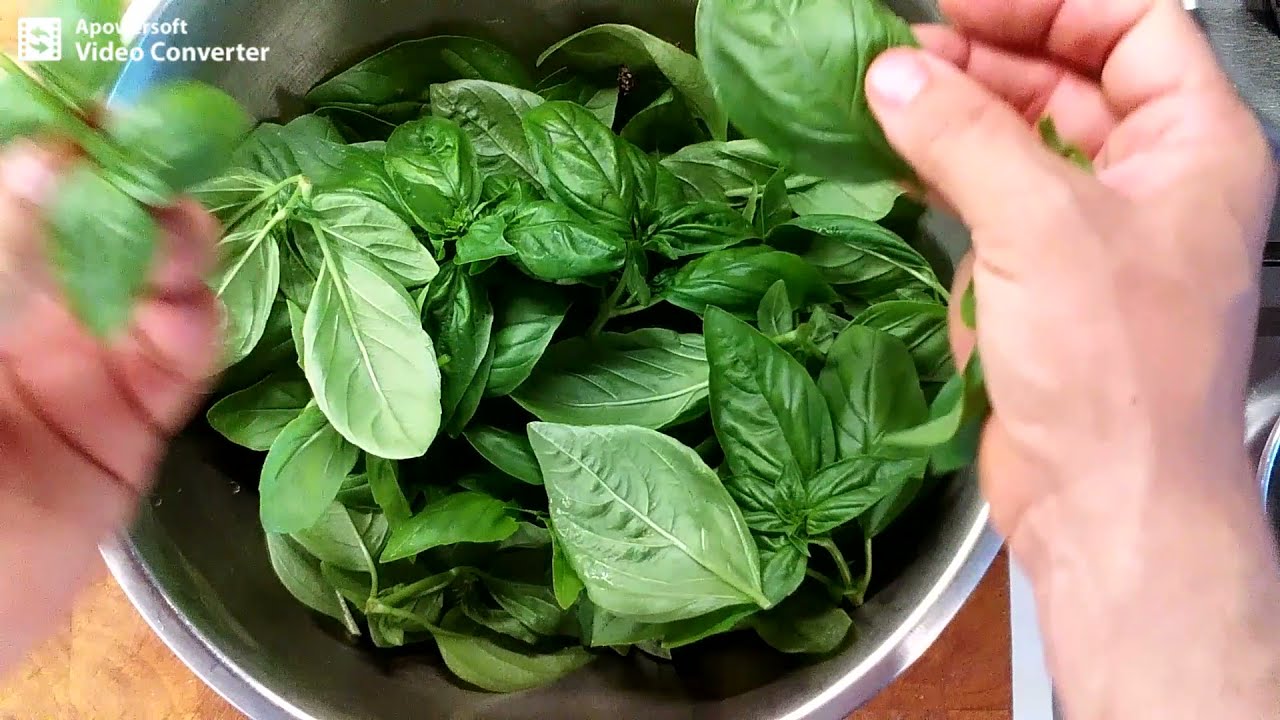 Bazsalikom pesto ( zöldfűszer krém ) , az olcsóbb verziót is elmondom :-)