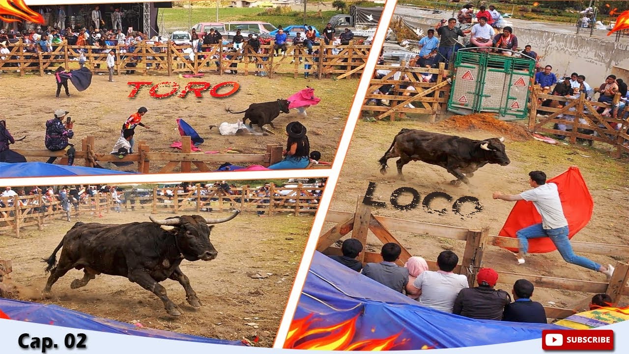 Toros Populares | CALICANTO 2026  SAQUISILI 😵  🐂| momentos de locura | toro bravo | Cap. 02