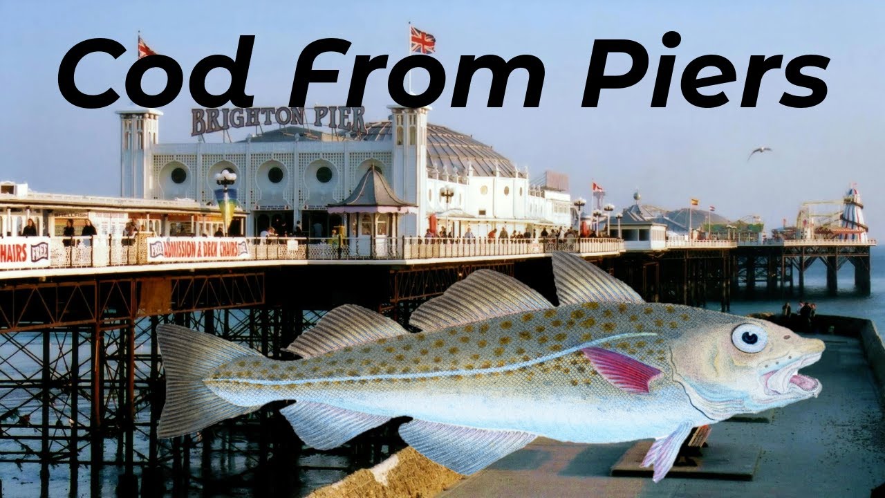 How To Catch Cod From Piers - Sea Fishing UK And Europe