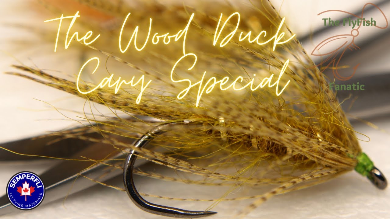 The Wood Duck Cary